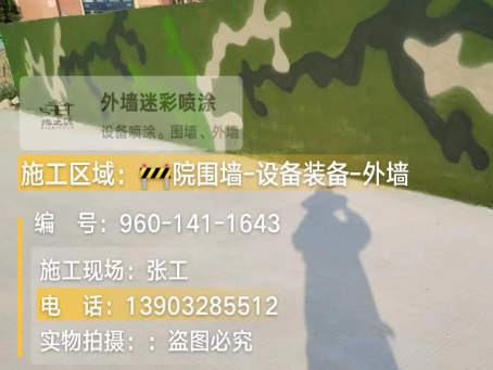 澄迈 迷彩漆喷涂价格（按平方米计费）